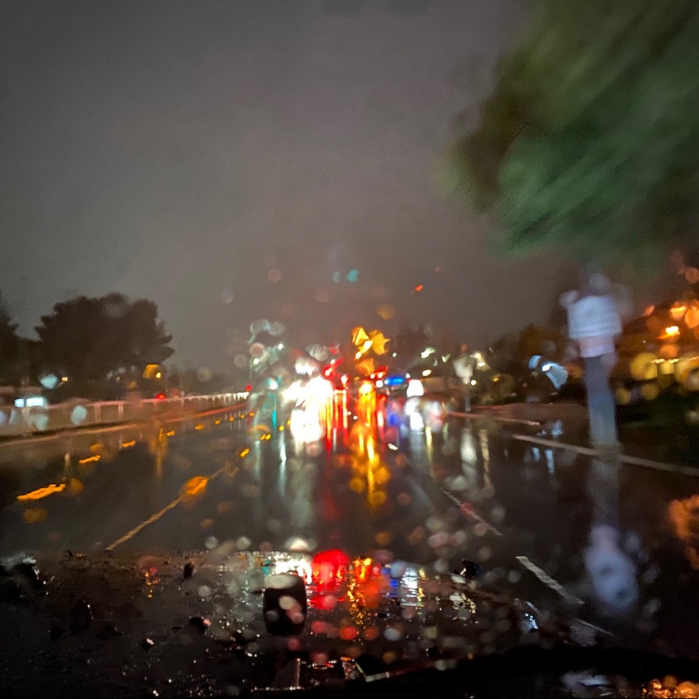 Meet your Posher, Morgan